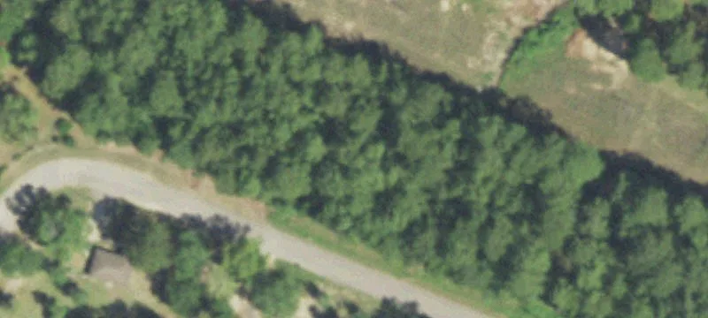 Oak Cir