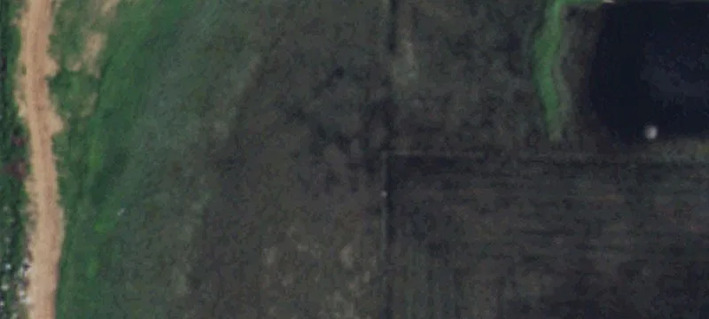 810 Hwy 194