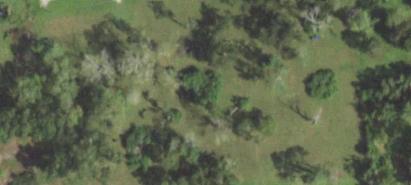 329 Harrison Rd