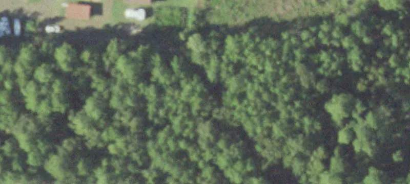 Bronson, TX 75930