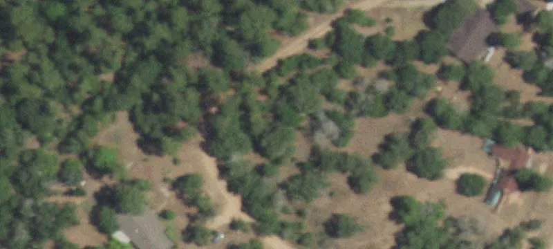 Deer Loop