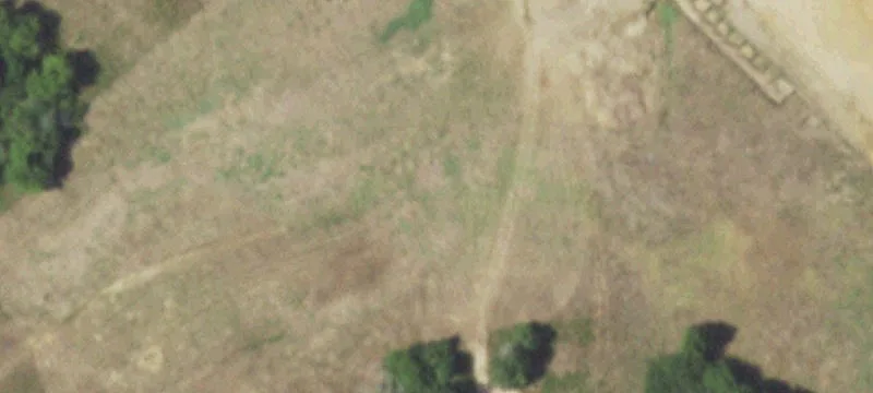 13826 State Hwy 19