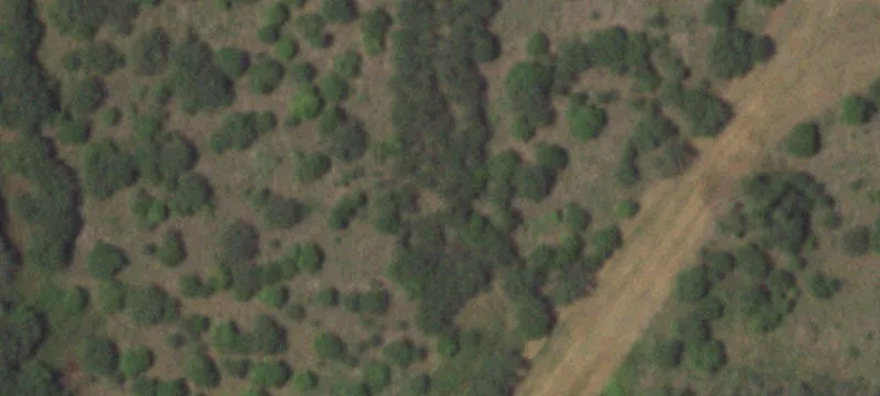 1635 Old Gonzales Rd