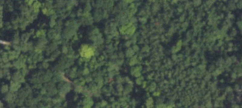 16983 Fm 1774