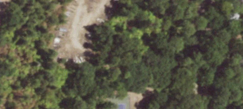 Scroggins, TX 75480