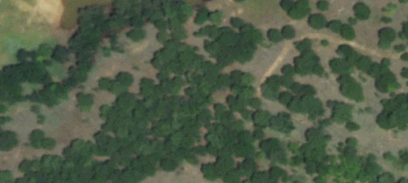 1602 County Line Rd