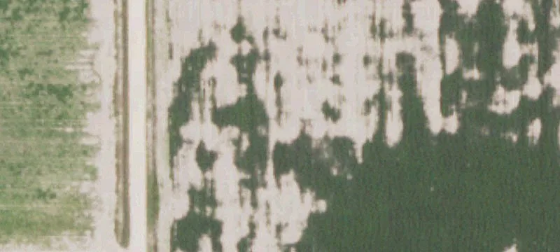 Lyford, TX 78569