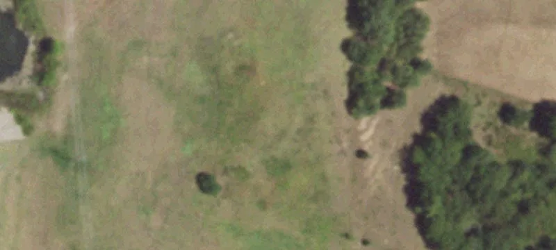 Ferguson Rd
