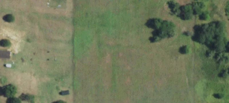 Montague, TX 76251
