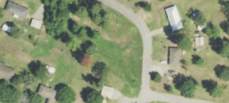 Oak Cir