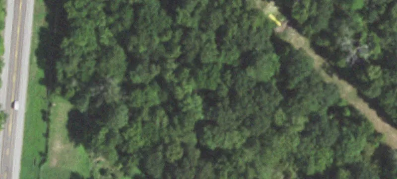 8192 State Hwy 19