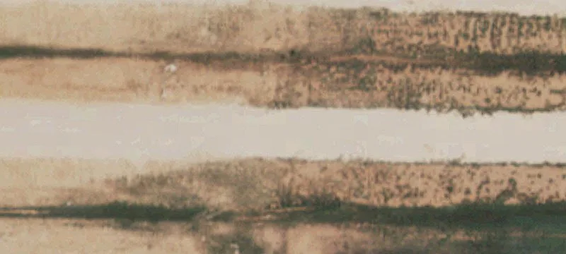 Levelland, TX 79336