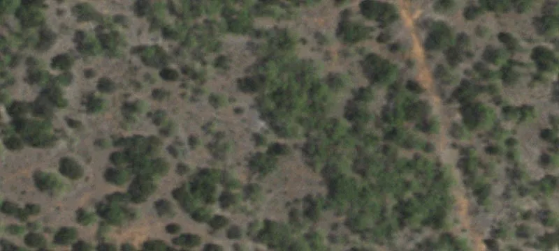 Sweetwater, TX 79556