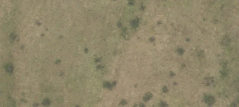 Cat Spring, TX 78933