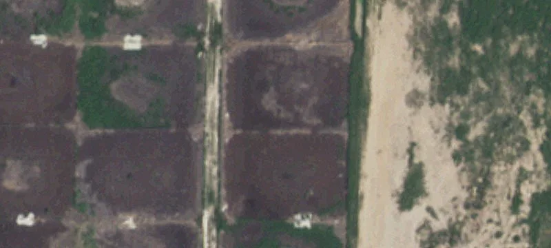 4255 Fm 1259