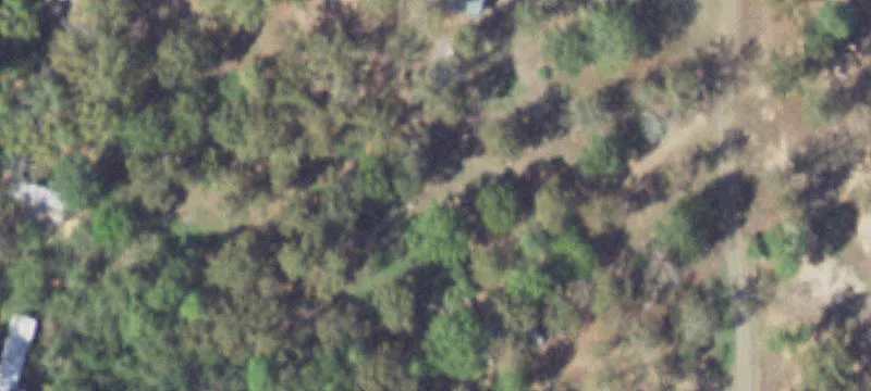 Shacklefoot Dr