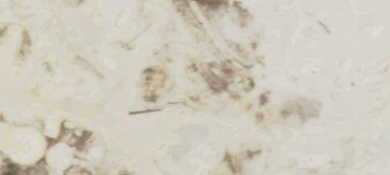 3014 Lcr 704