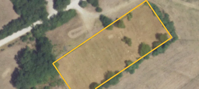 Purdon, TX 76679