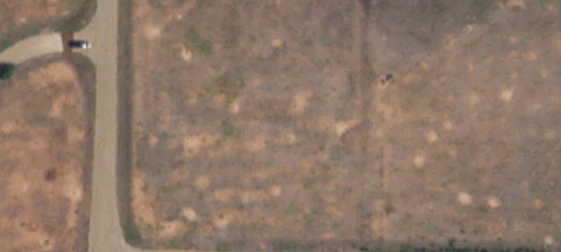 Ropesville, TX 79358