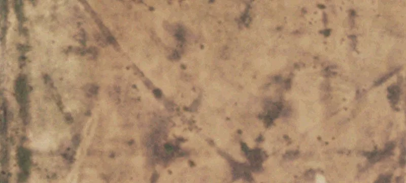 Seagraves, TX 79359