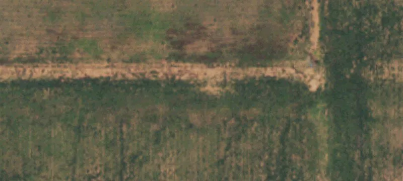 State Hwy 137