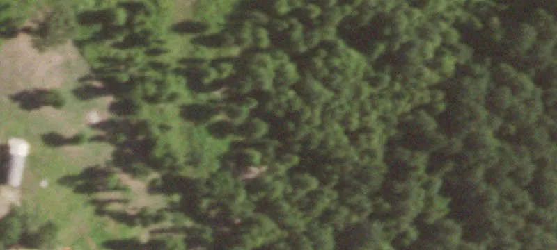 7658 Us Hwy 259th N