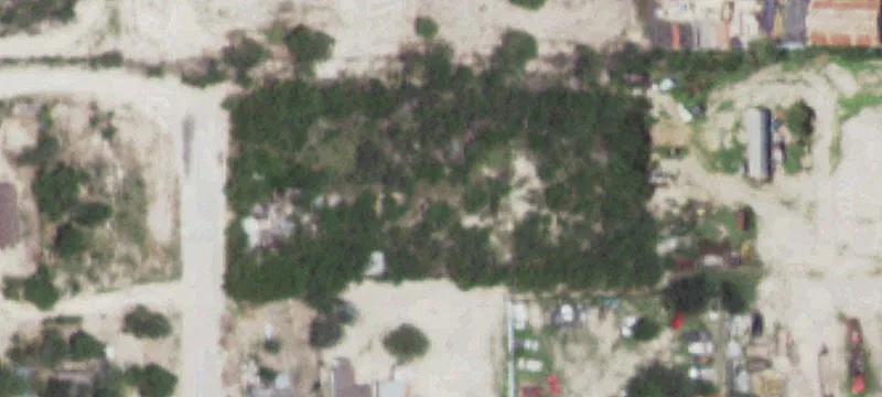 Freer, TX 78357