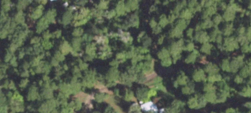 Jefferson, TX 75657