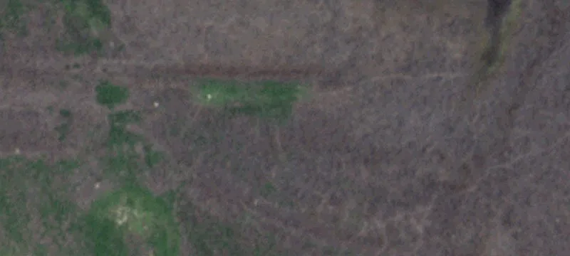 Littlefield, TX 79339