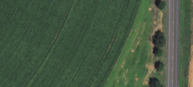 Springlake, TX 79082