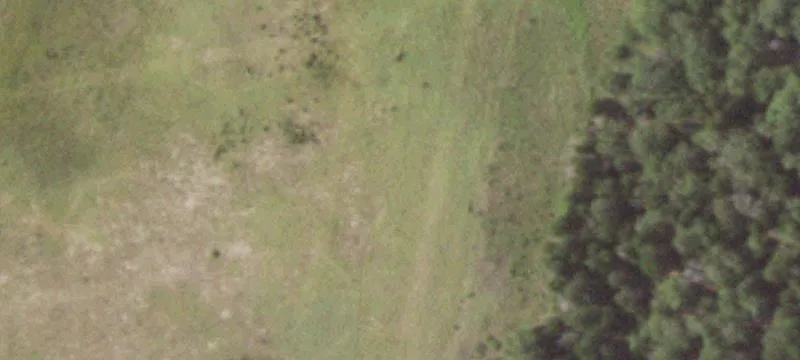 Fm 696, TX