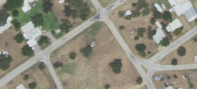 Buckwheat Dr