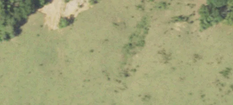Center, TX 75935