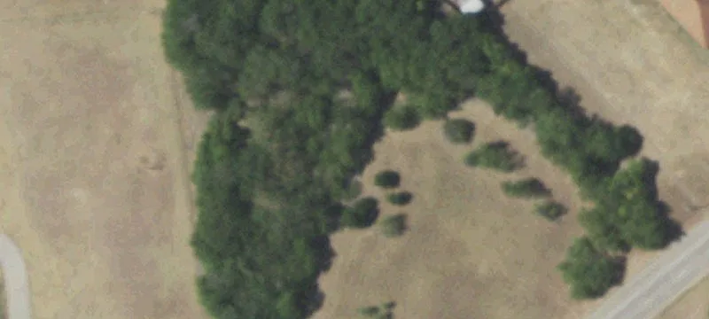 1251 Crowley Rd
