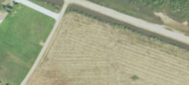 County Rd 229
