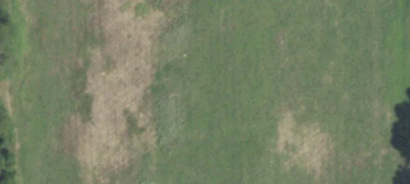 Navasota, TX 77868