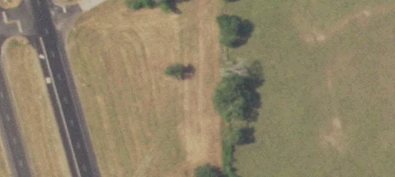 Navasota, TX 77868