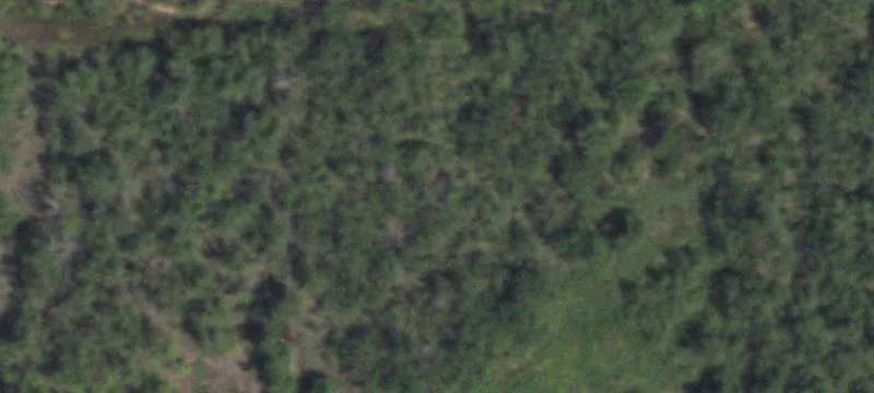 Snyder, TX 79550