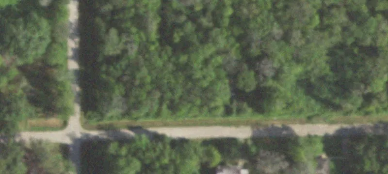 Penguin Ln