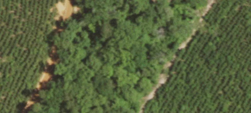 11595 Texas Hwy 11