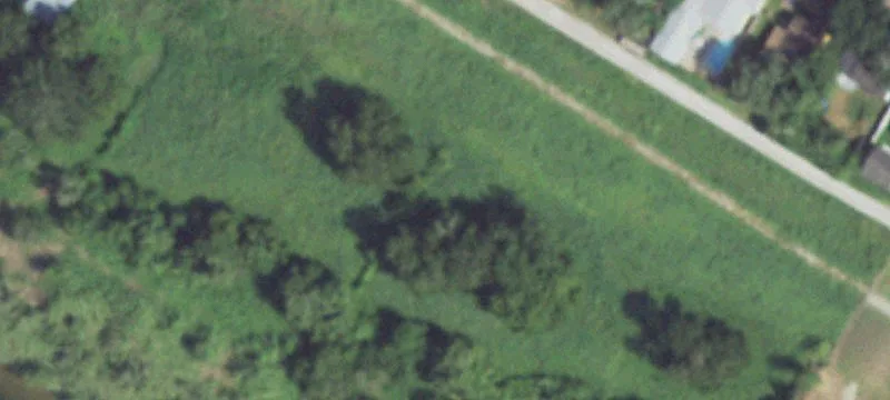 Ave G Levee