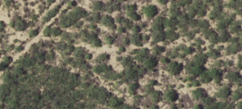 272 Fm 1557