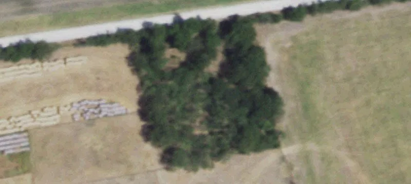 Frost, TX 76641