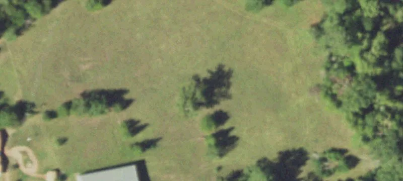 6539 Fm 232