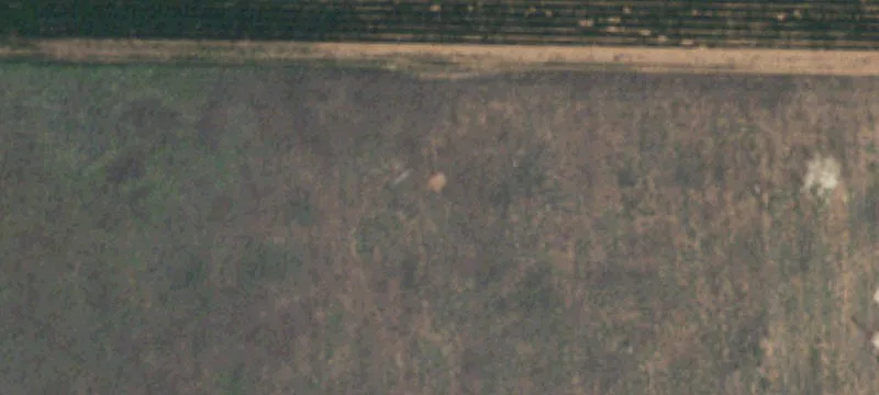 Levelland, TX 79336