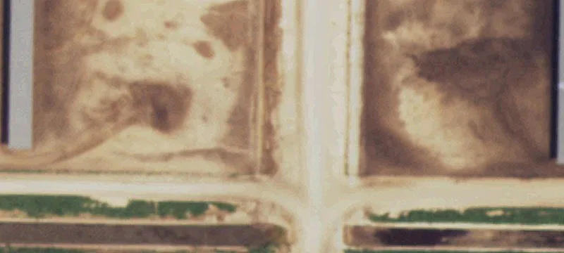 5155 Fm 2943