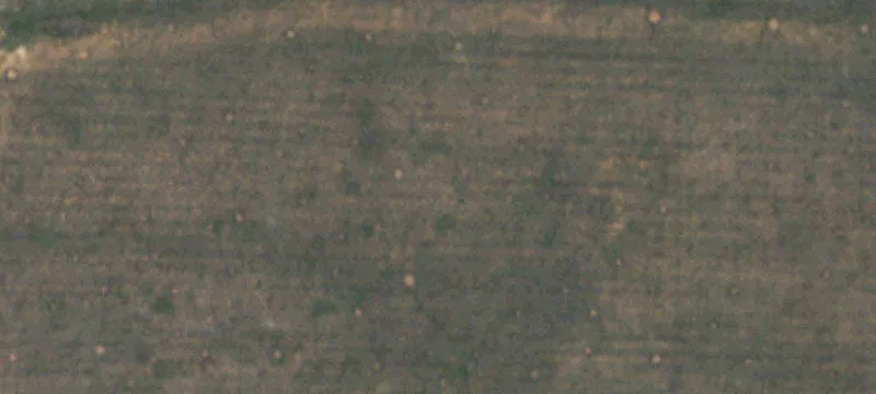 Levelland, TX 79336