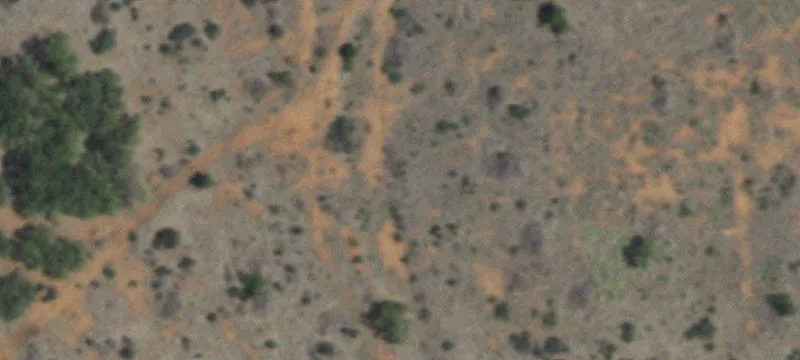Roscoe, TX 79545