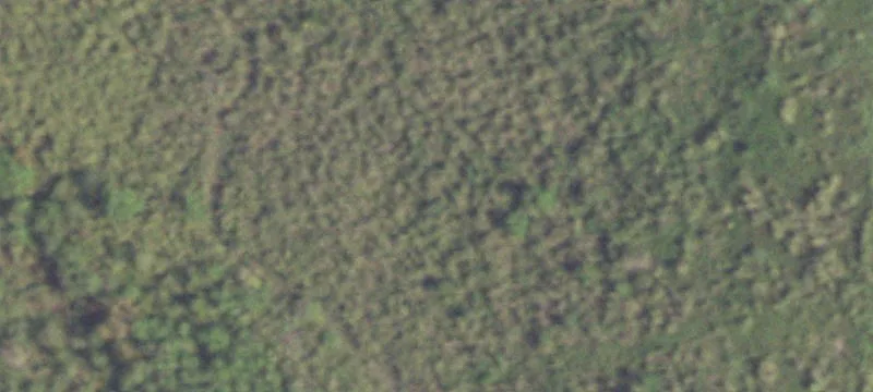Gulf Rd