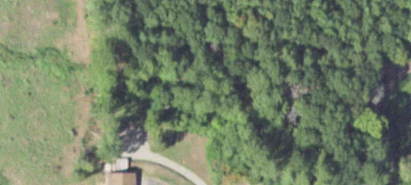 Pineland, TX 75968